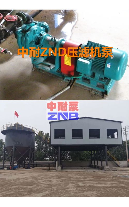 ZNDϵЉVCϱ