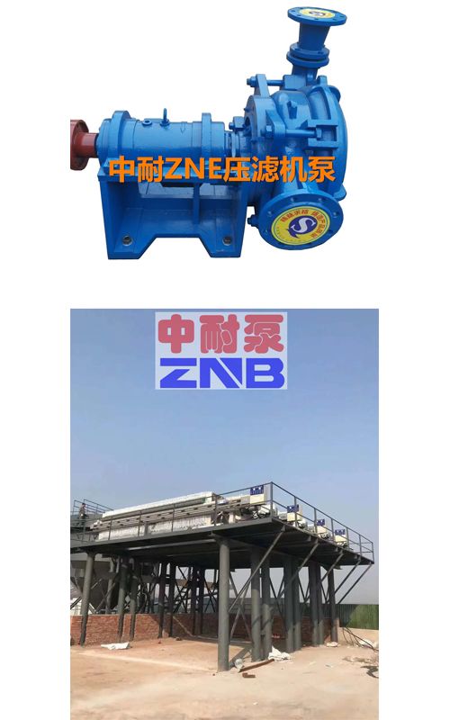 ZNEϵЉVCϱ